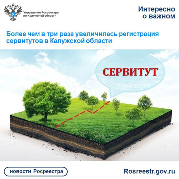 Более чем в три раза увеличилась регистрация сервитутов в Калужской области.